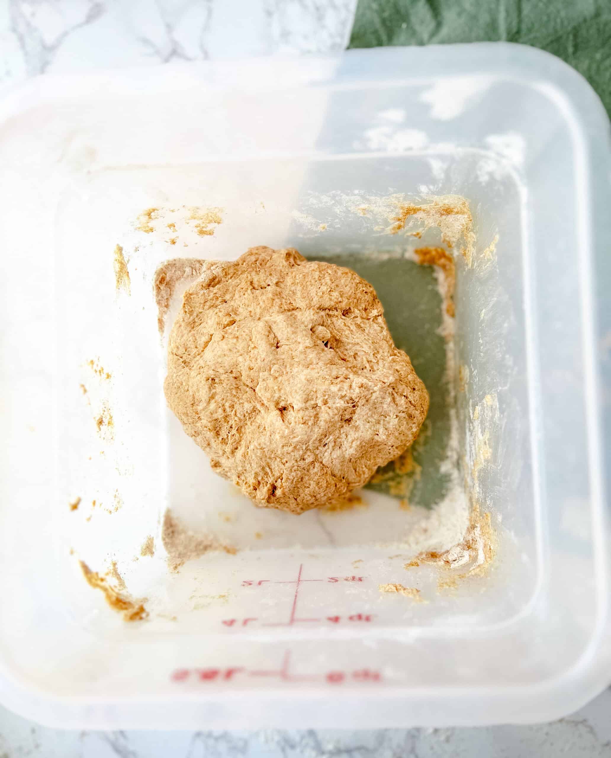 Mixed up sourdough sitting in a container ready for the autolyse 