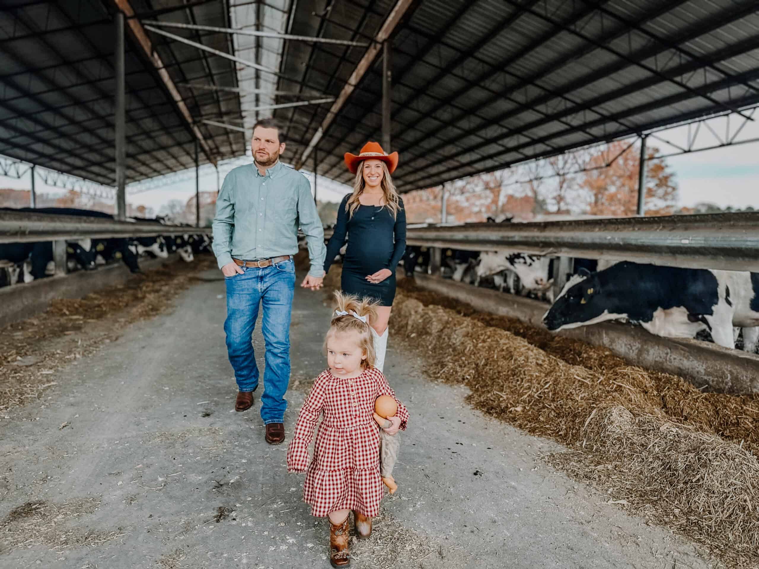 A family walks through a covered dairy barn with cows feeding in the background. The father, wearing a green button-up shirt and jeans, walks beside the mother, who is pregnant, dressed in a black outfit with white boots and a red cowboy hat. In the foreground, their young daughter in a red and white checkered dress walks ahead, holding a small doll. The setting is a rural farm with an open structure and natural lighting