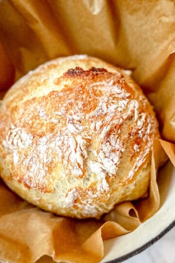 Baked No Knead Country bread on top of parchment paper in a dutch oven